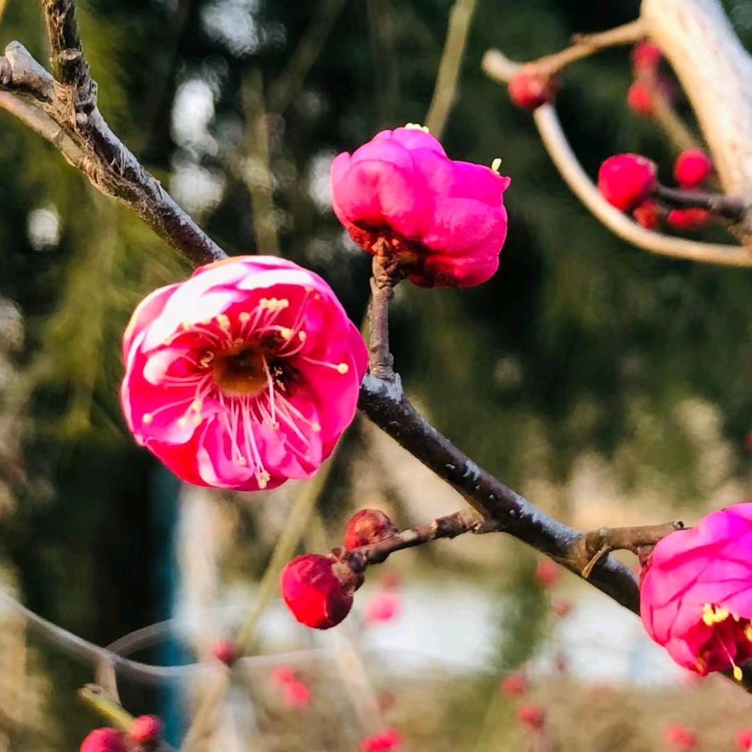 卷帘门生产安装维修