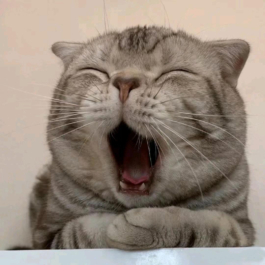 清野