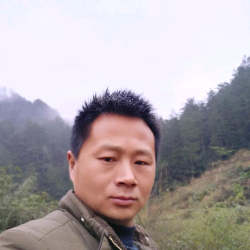 老秦