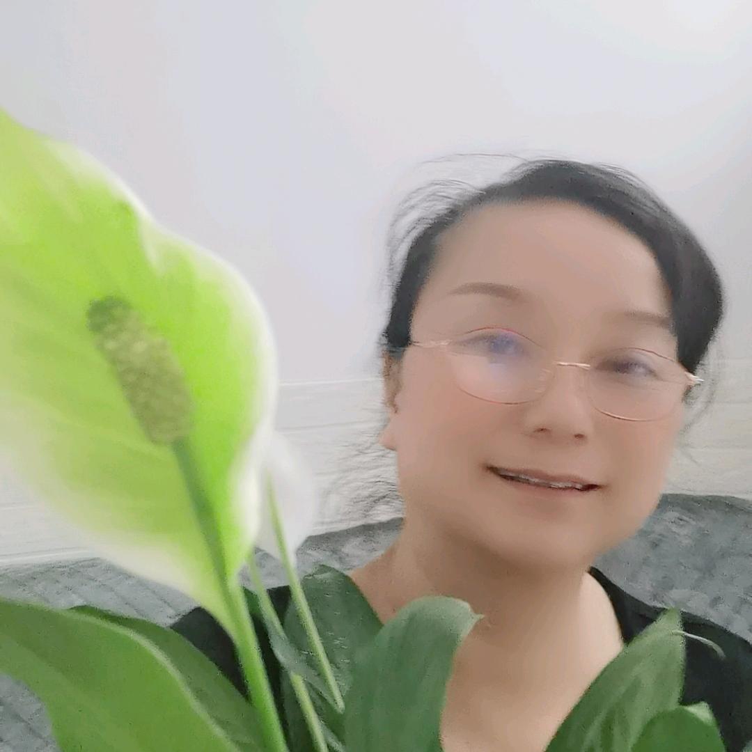 爽爽（拒私聊）