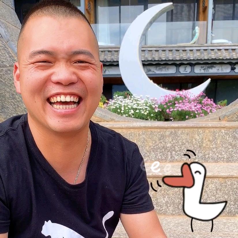 大理宝哥