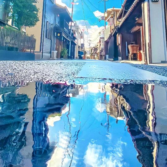 顾北倾