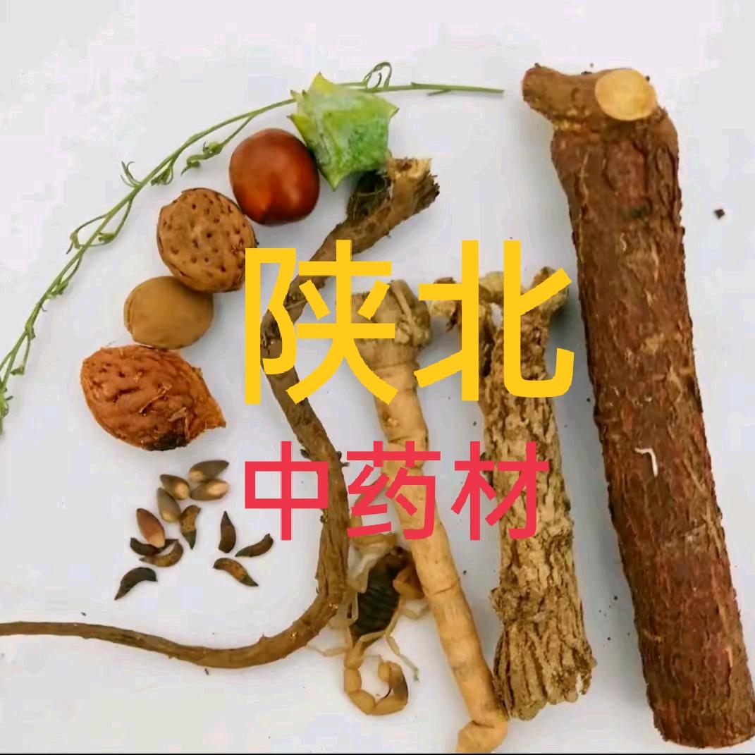 陕北药材