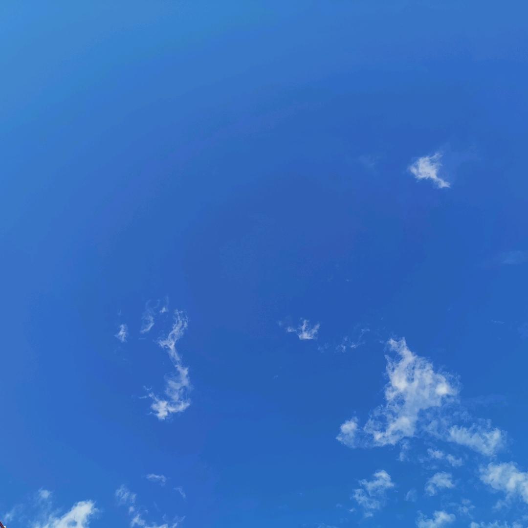 3061