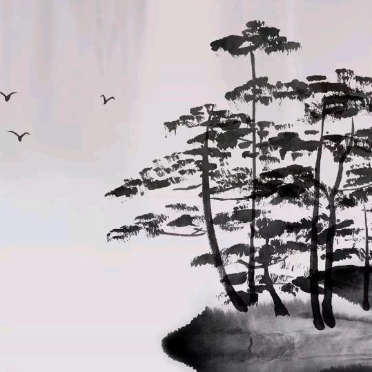冬天绿叶