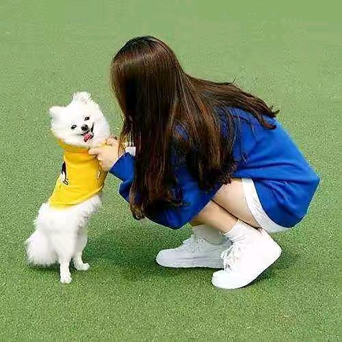 粉红必须配佳人，好酒才会给英雄。