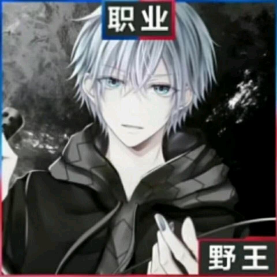 渣渣辉（张*辉）