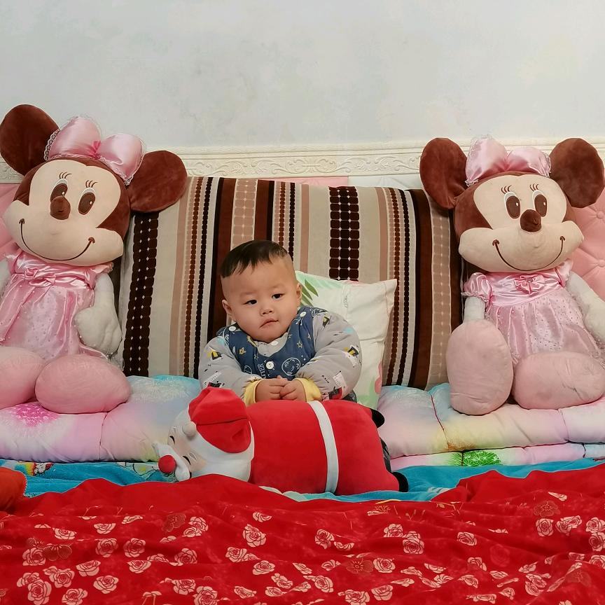 哪有岁月可回头