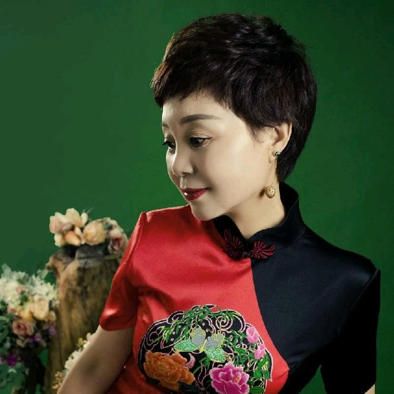 洛阳大妈巜梨园春》毕清风