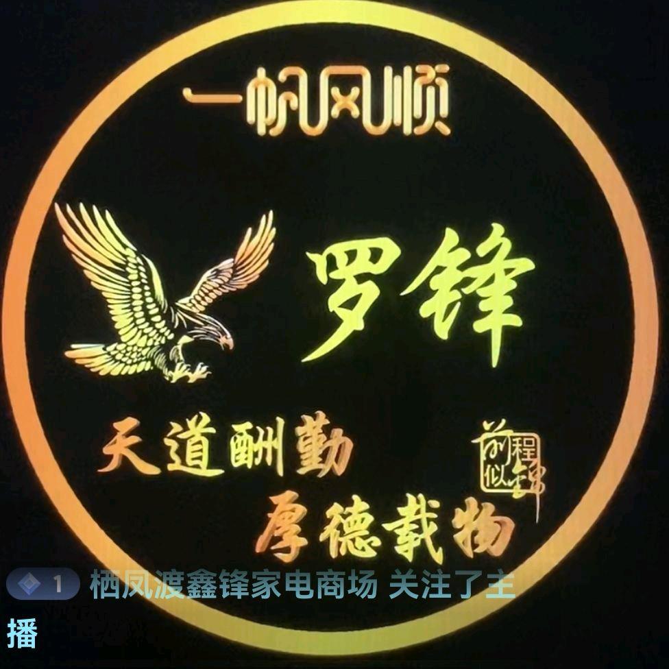 栖凤渡鑫锋家电商场