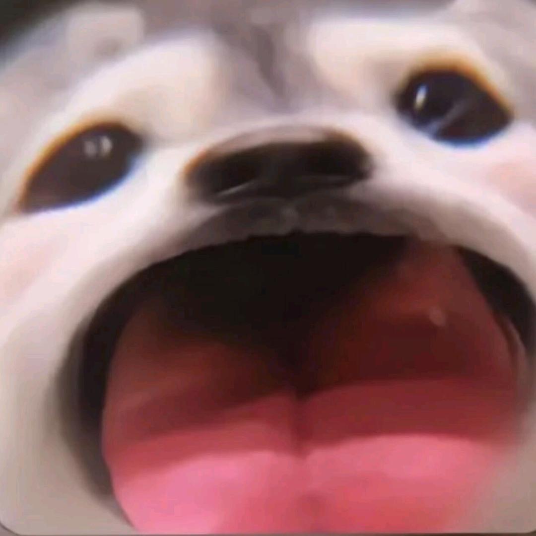 李子ꪝ