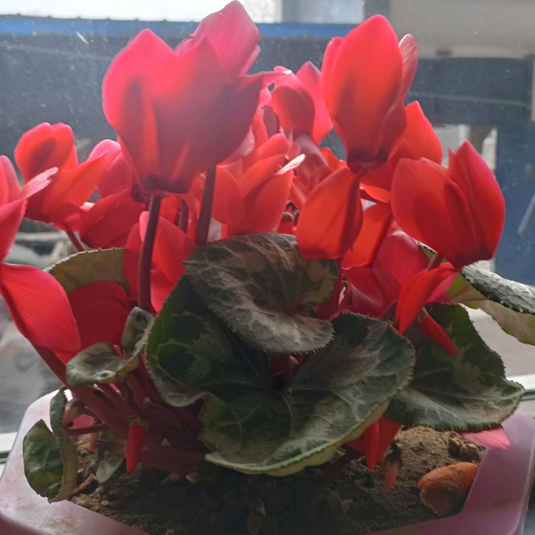 平凡的人生_73733