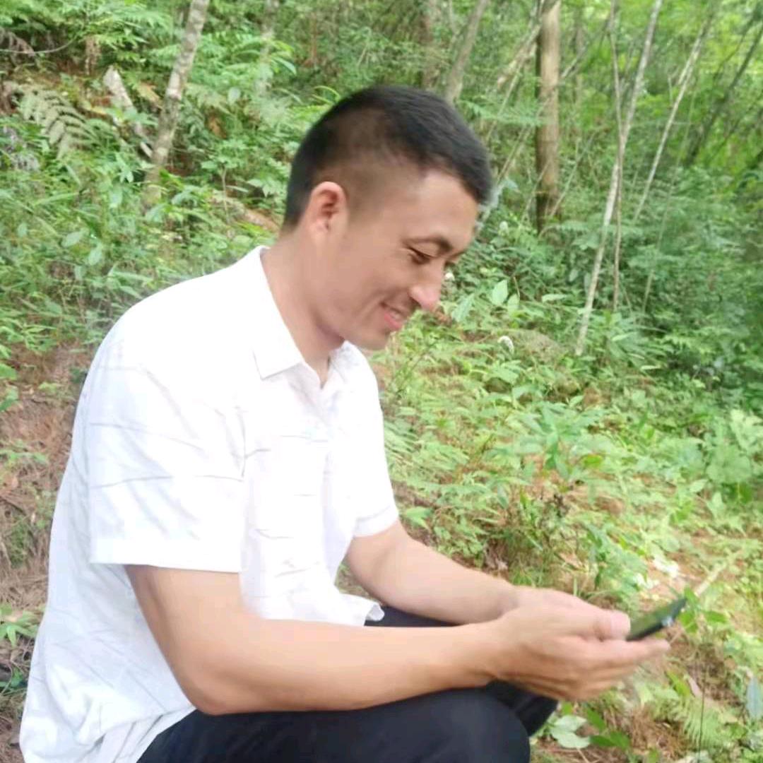 杨飞机