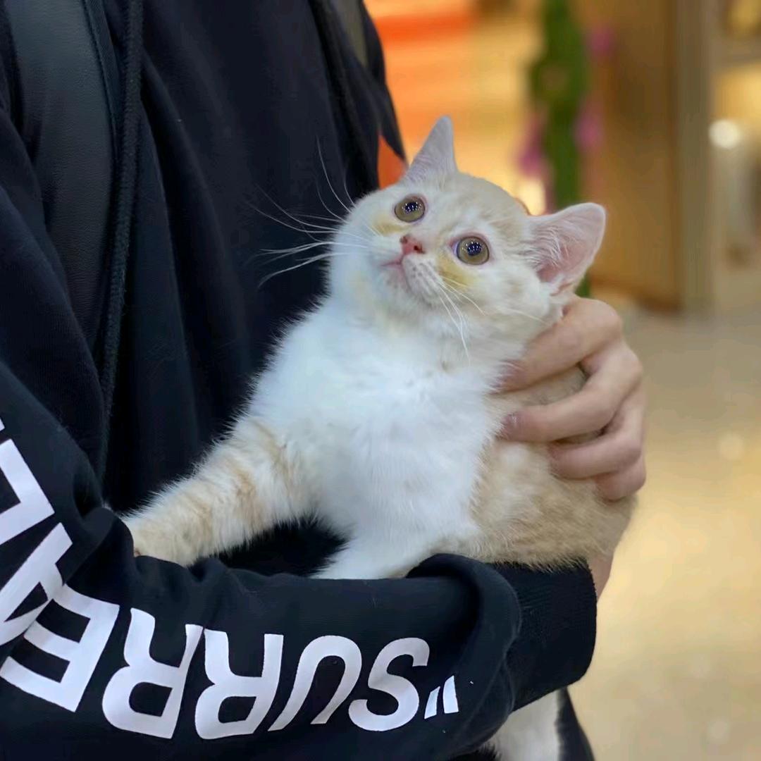 用户不想起昵称