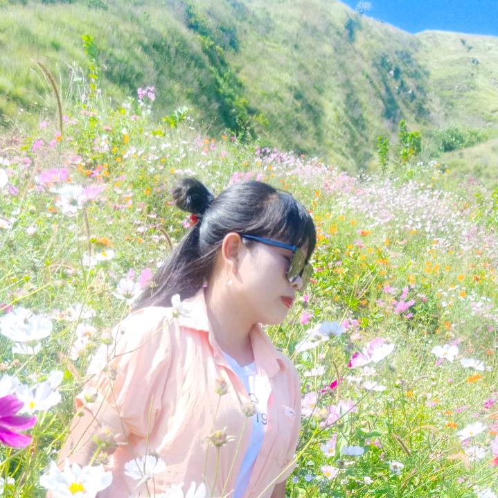 花火