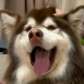 我那么可爱