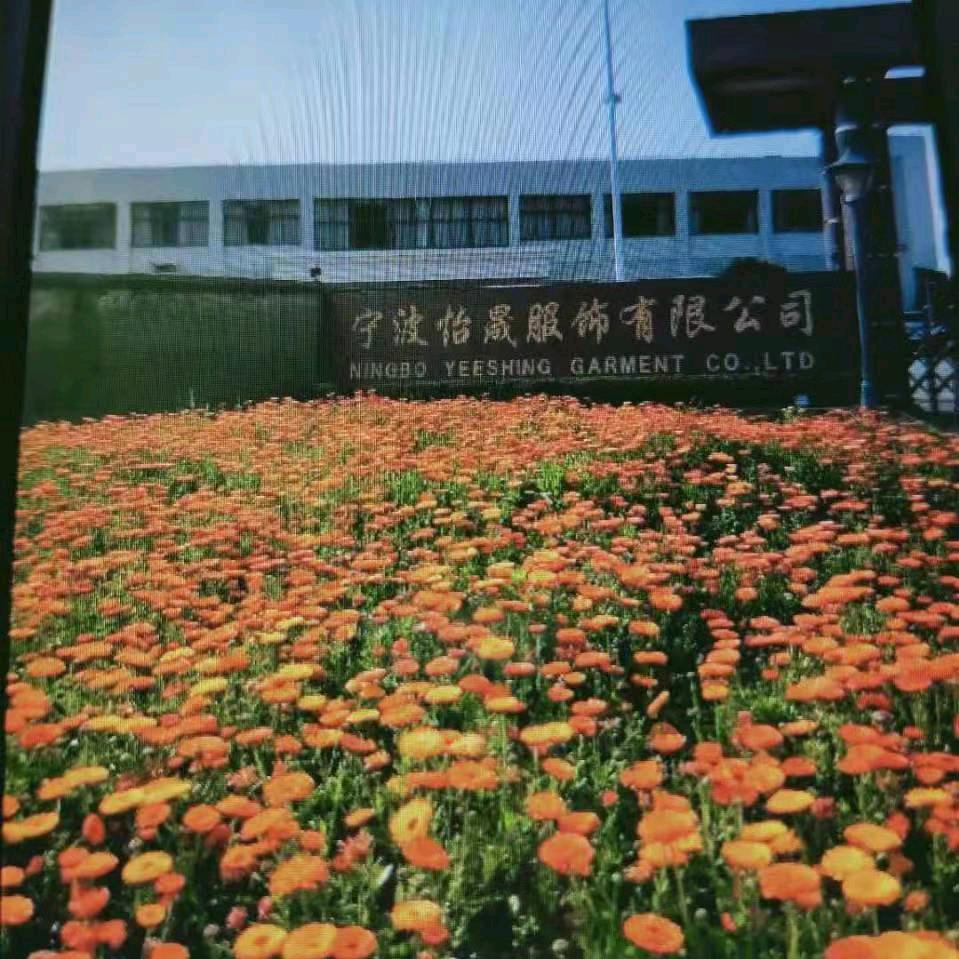 肖