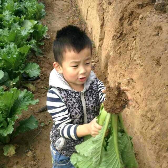 用户7874176826988懂你