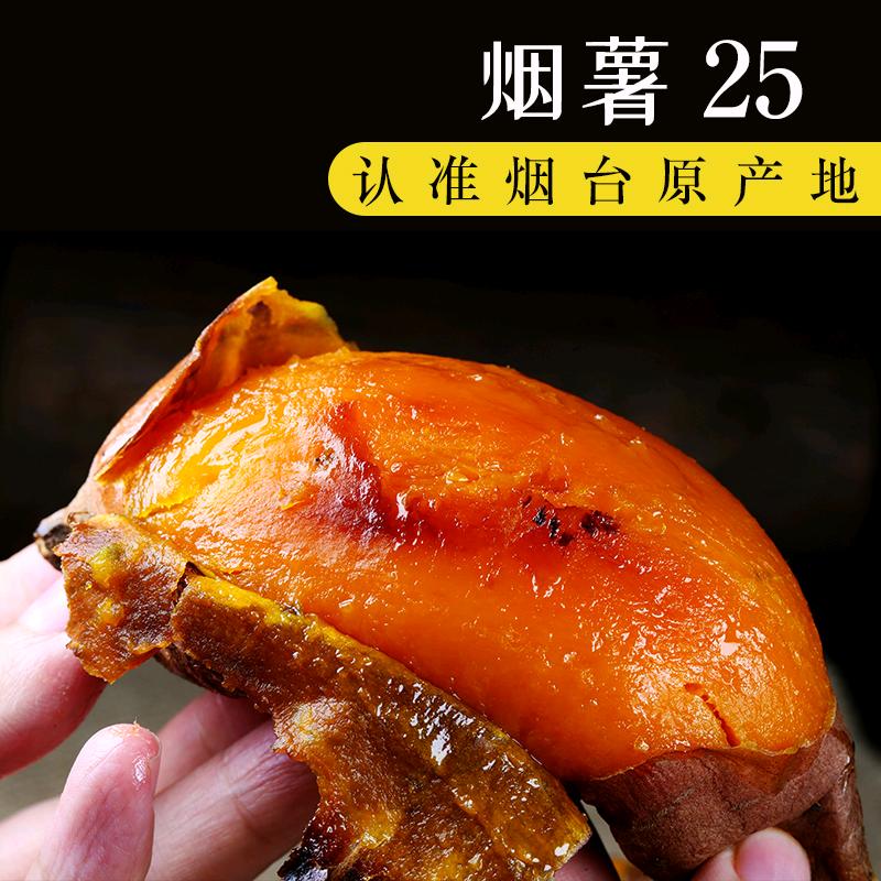臻薯园薯益多农场