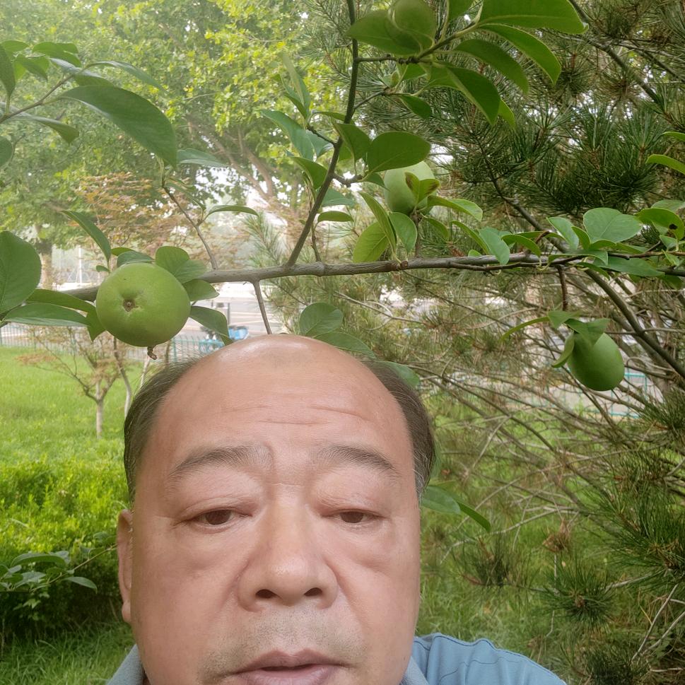 韩宗涛