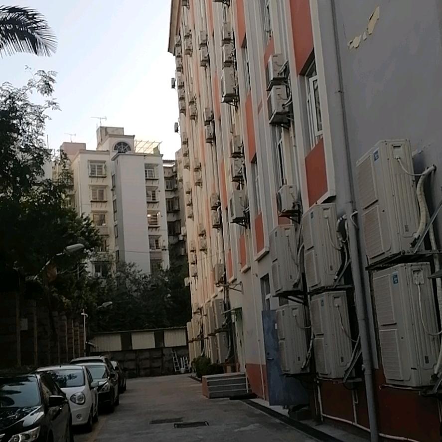 江泰
