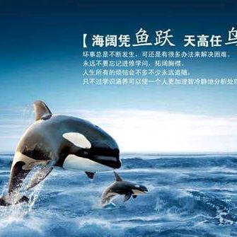 开着卡丁去开荒
