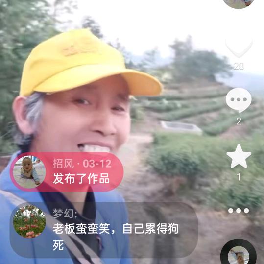 招凤