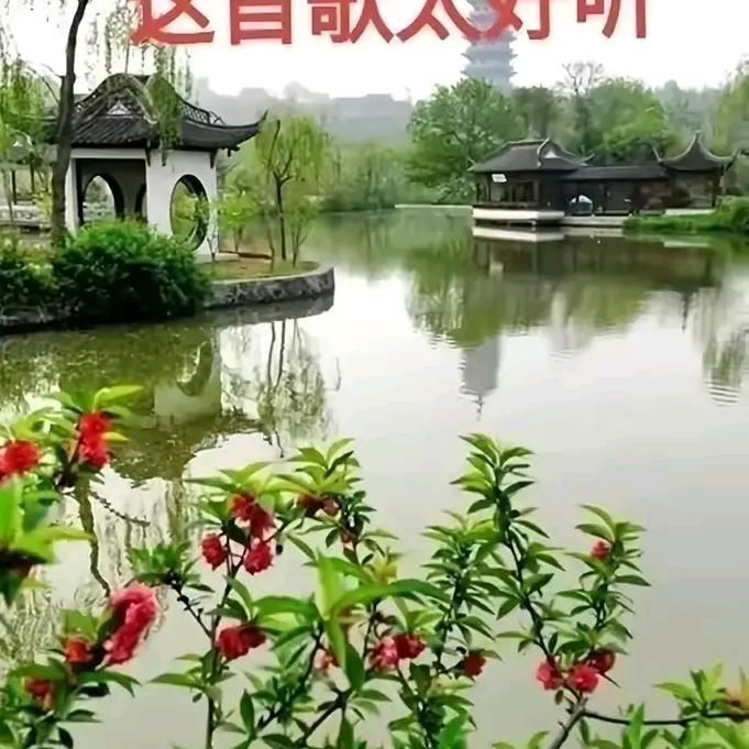 %%VpHUr0pGik8%% @郑久田