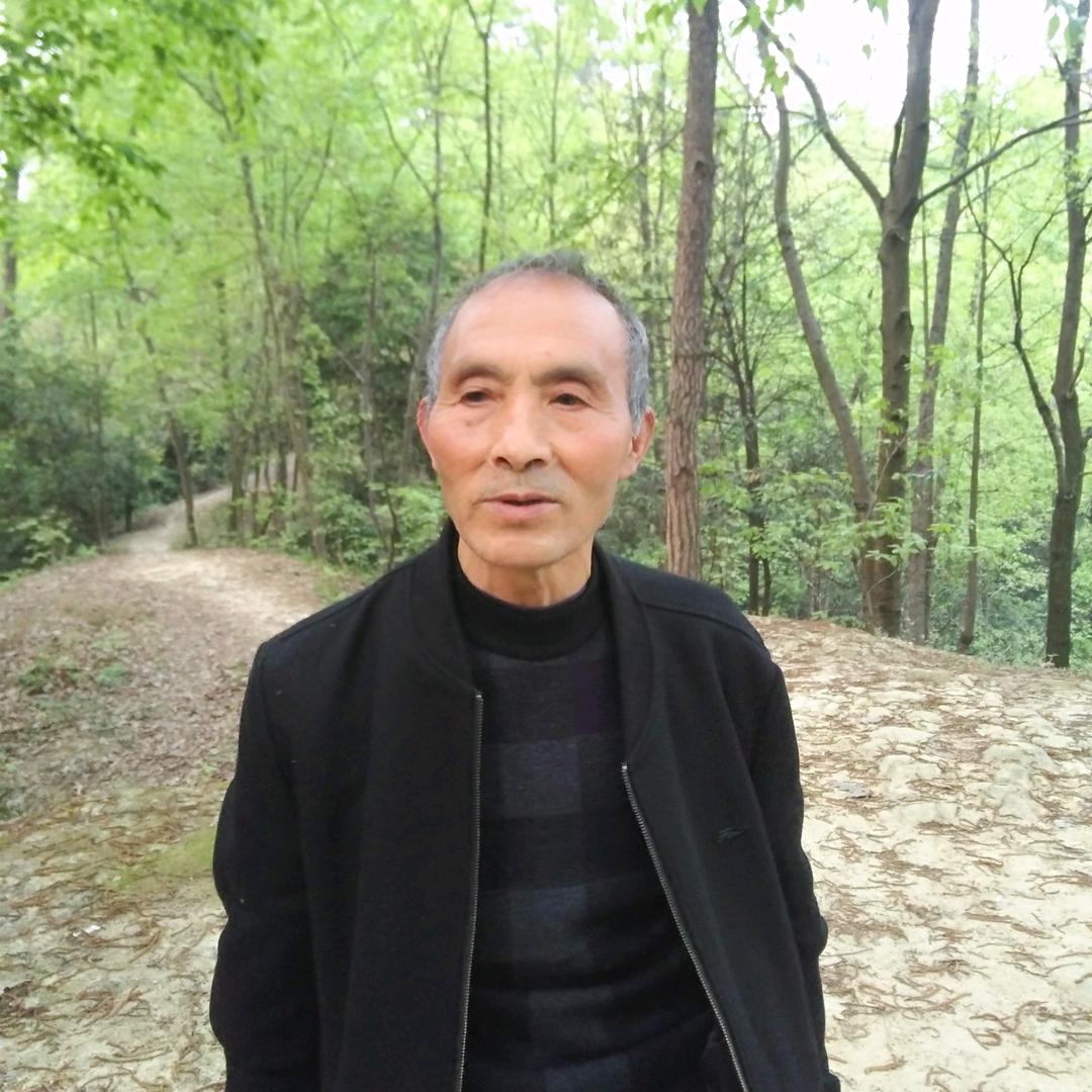 张云禄