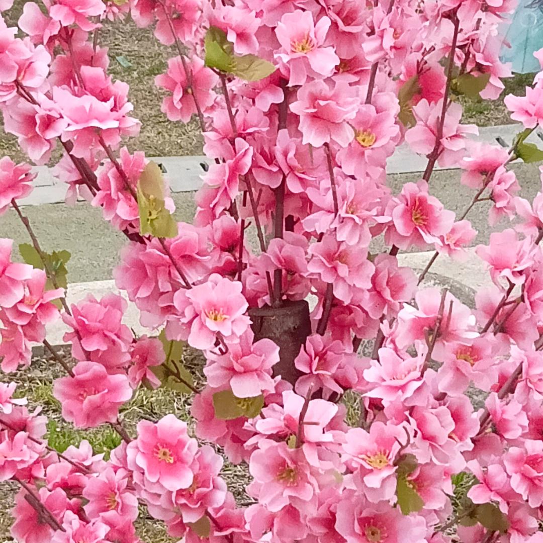 蓝