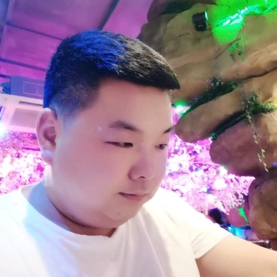 待来年风吹时
