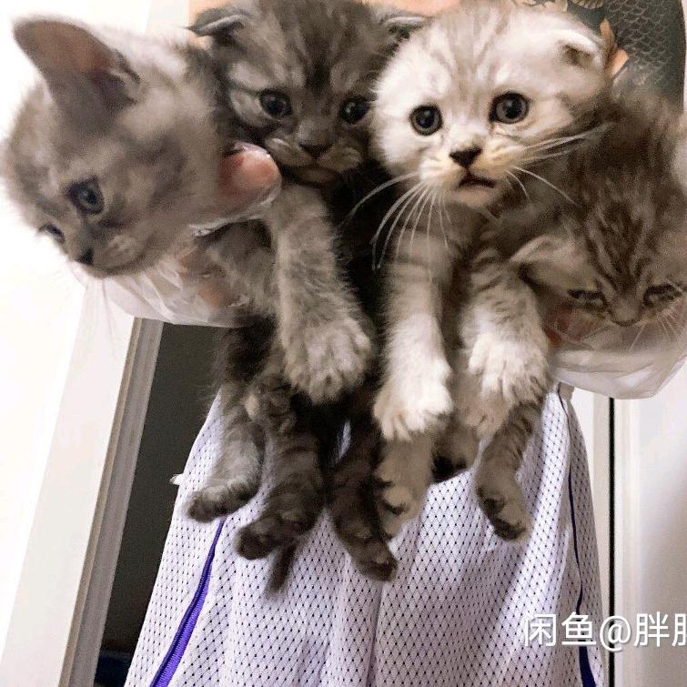 来一瓶可乐