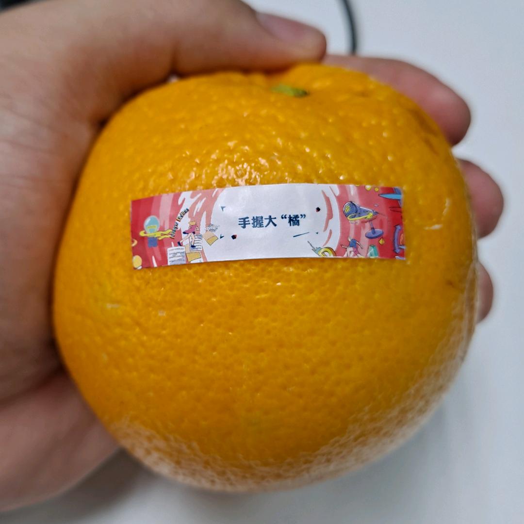 小樊(大疆action5pro第一视角）