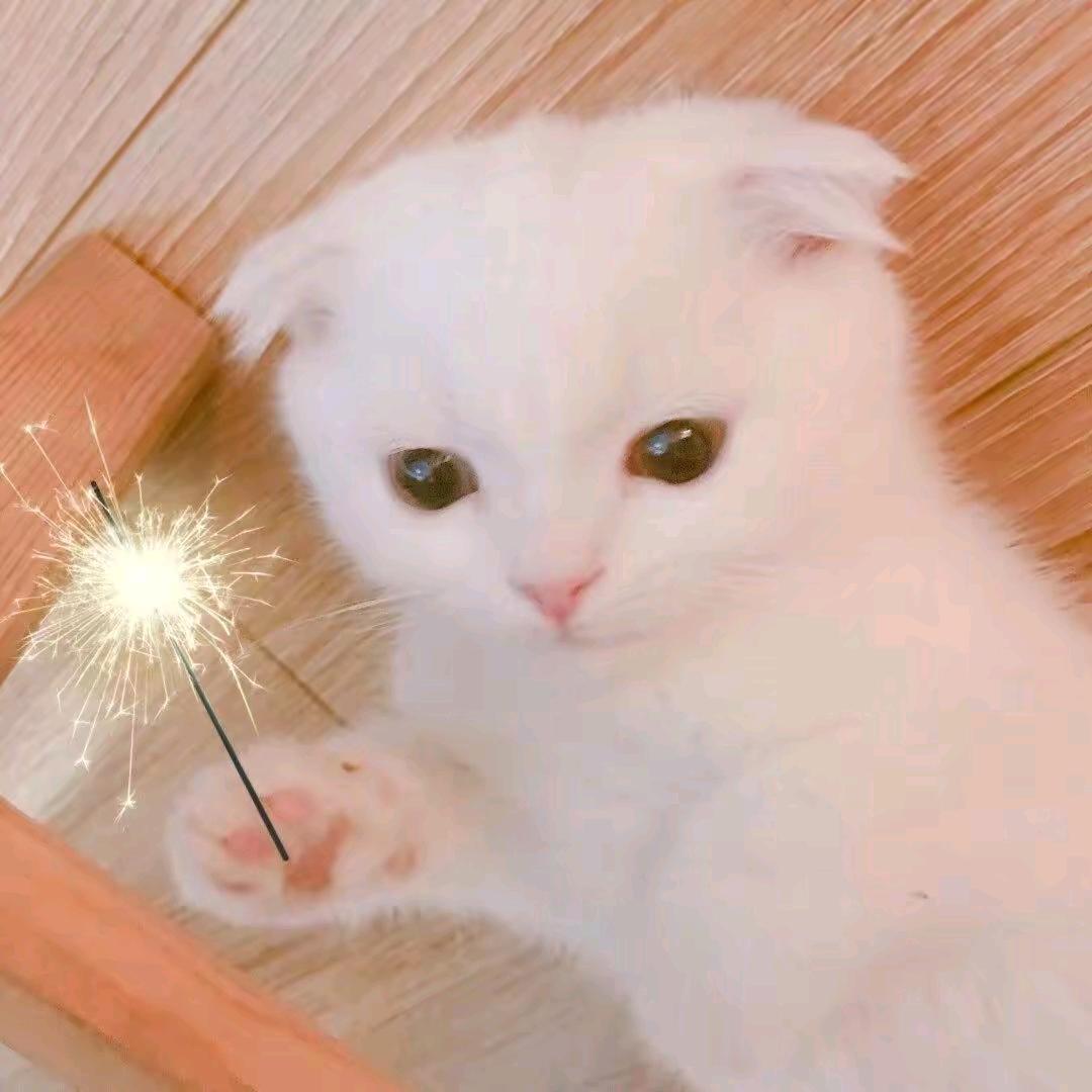 ꧖小张