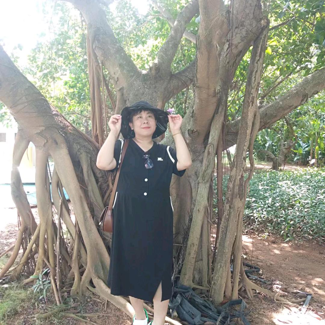 项城市黄姐家纺销售店（橱窗有好物）