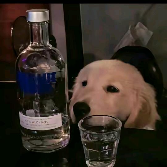 小哈哈.