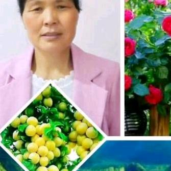 用户7147957875560