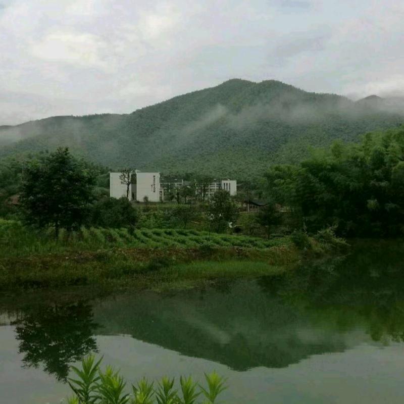 世康世外桃源