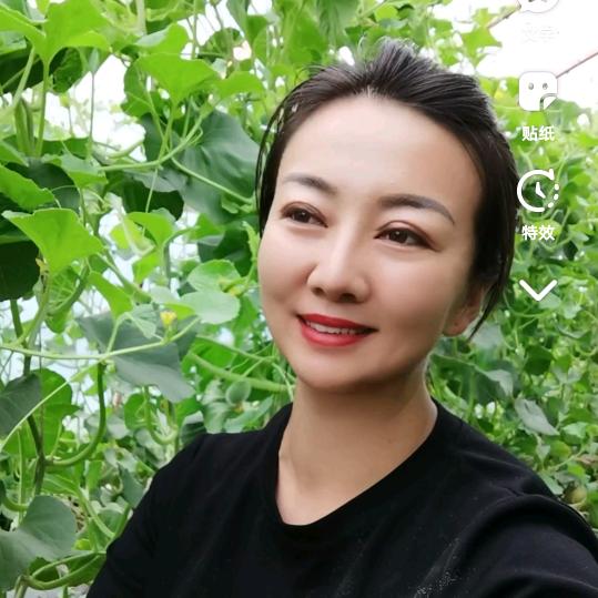 农村淼姐