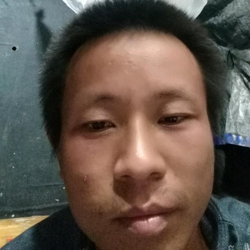 相思情未了