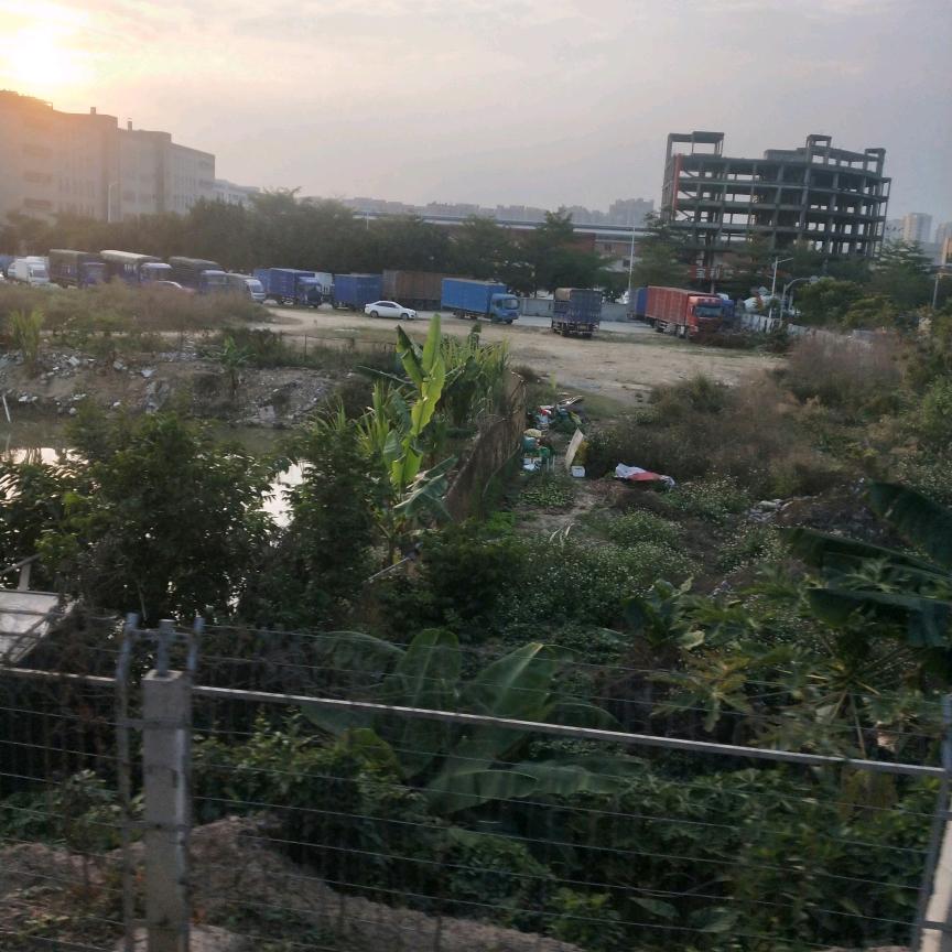 心态累，谁懂我