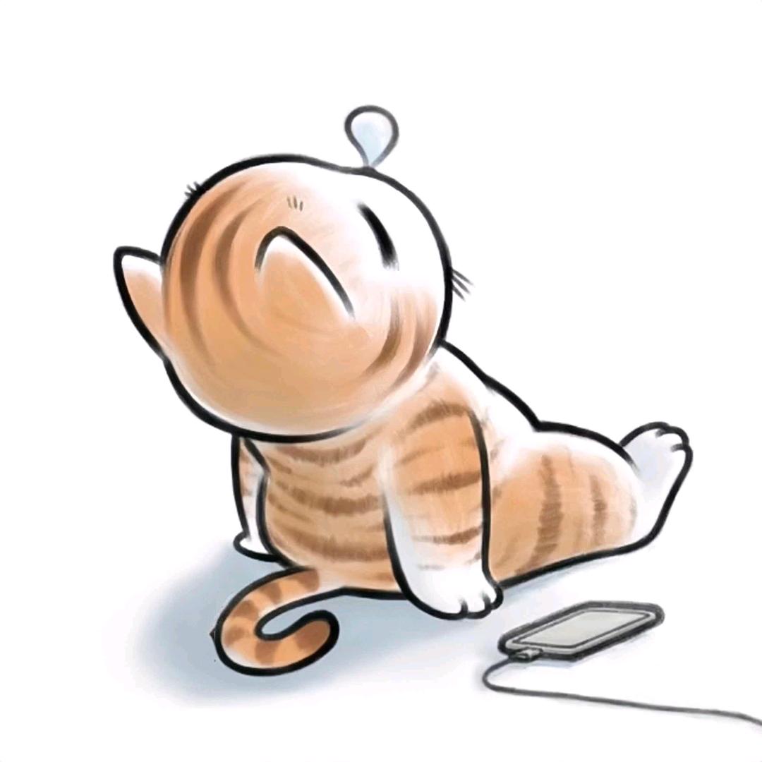 每天都要困鼠=_=