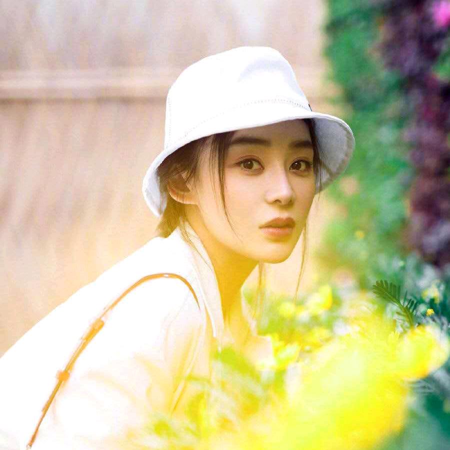 陈丽