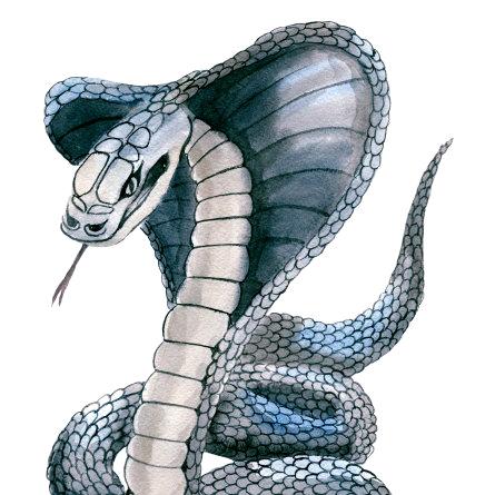 嘉栩志