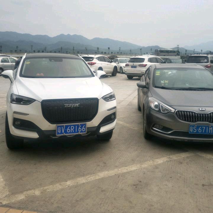 心若向阳