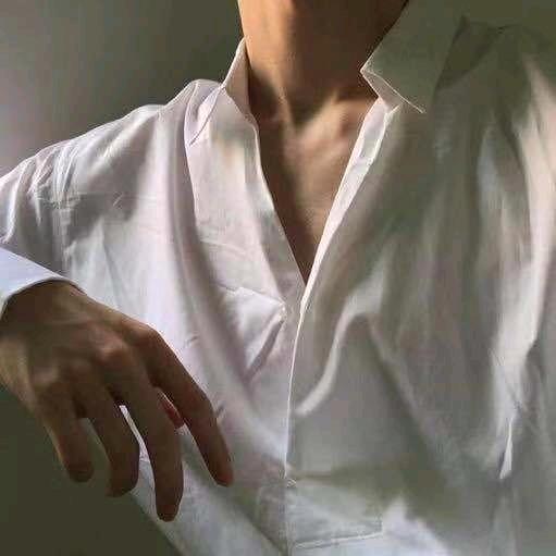 元宝👀