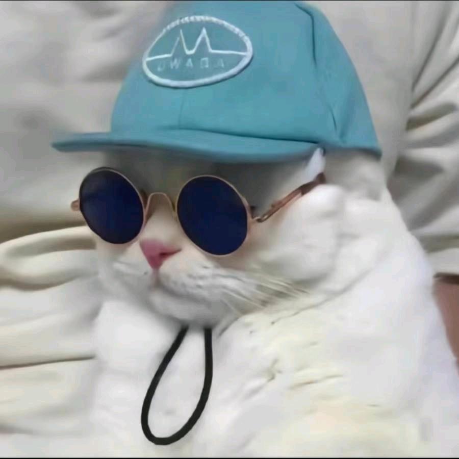 金铲铲（花开）