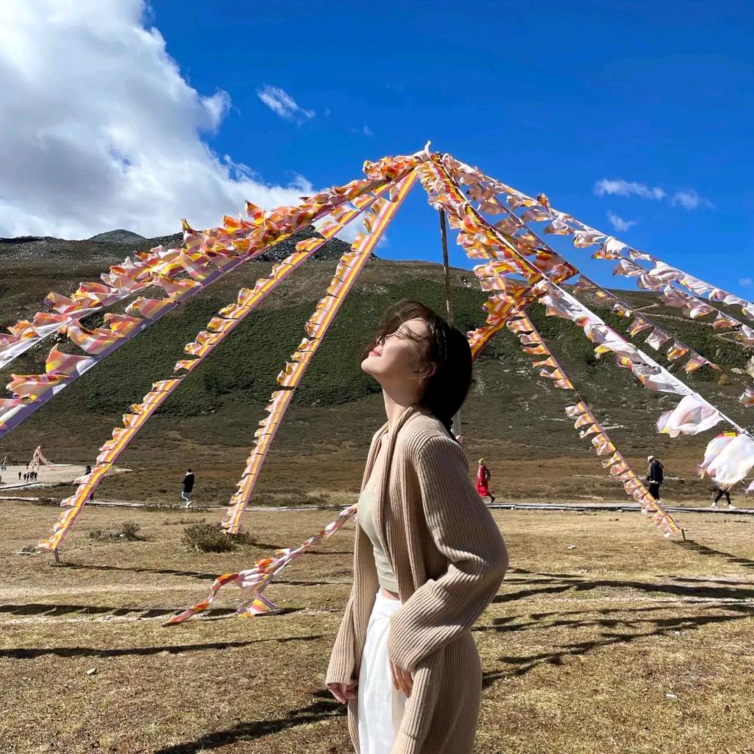 爽朗的关注我