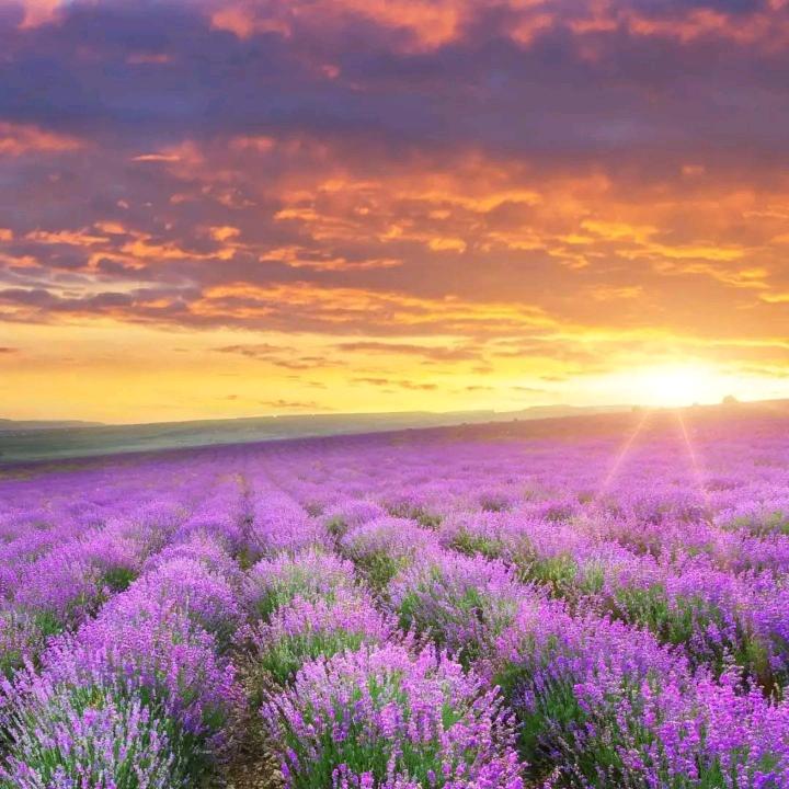 幸੭ˊᵕˋ运੭* ੈ星✩