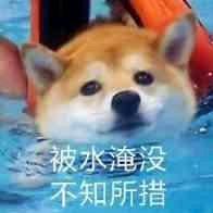 燕堡仕健身 小班